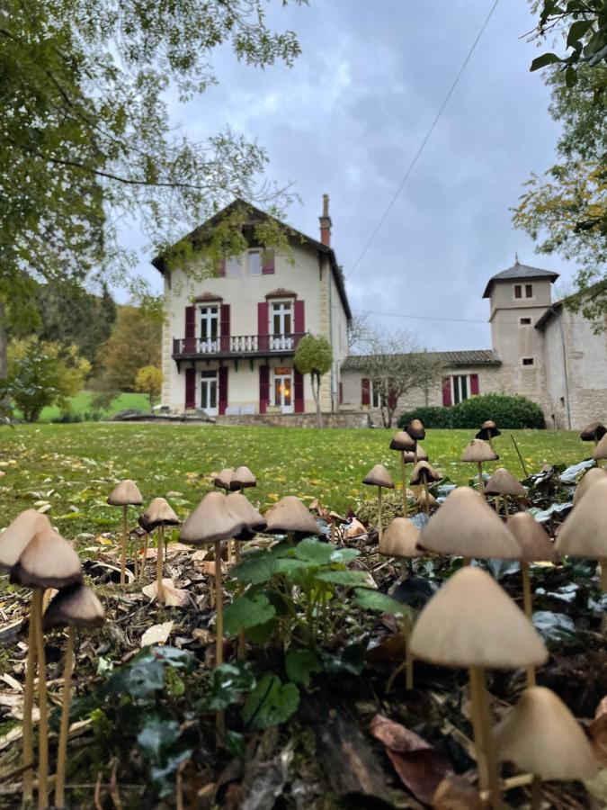 Domaine La Rose Bed & Breakfast Caylus Bagian luar foto